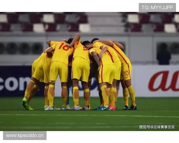 琼阿梅尼 vs 费尔南迪尼奥：防守经验与实战表现对比分析