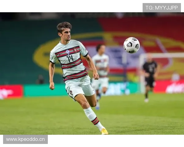 帕利尼亚在葡萄牙国家队主力后腰地位解析