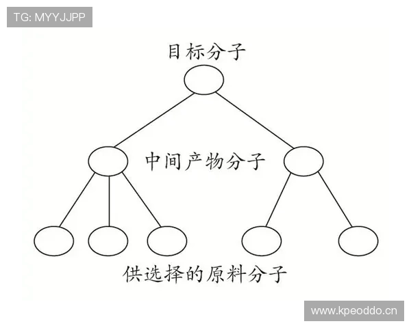 E组各队晋级路径分析